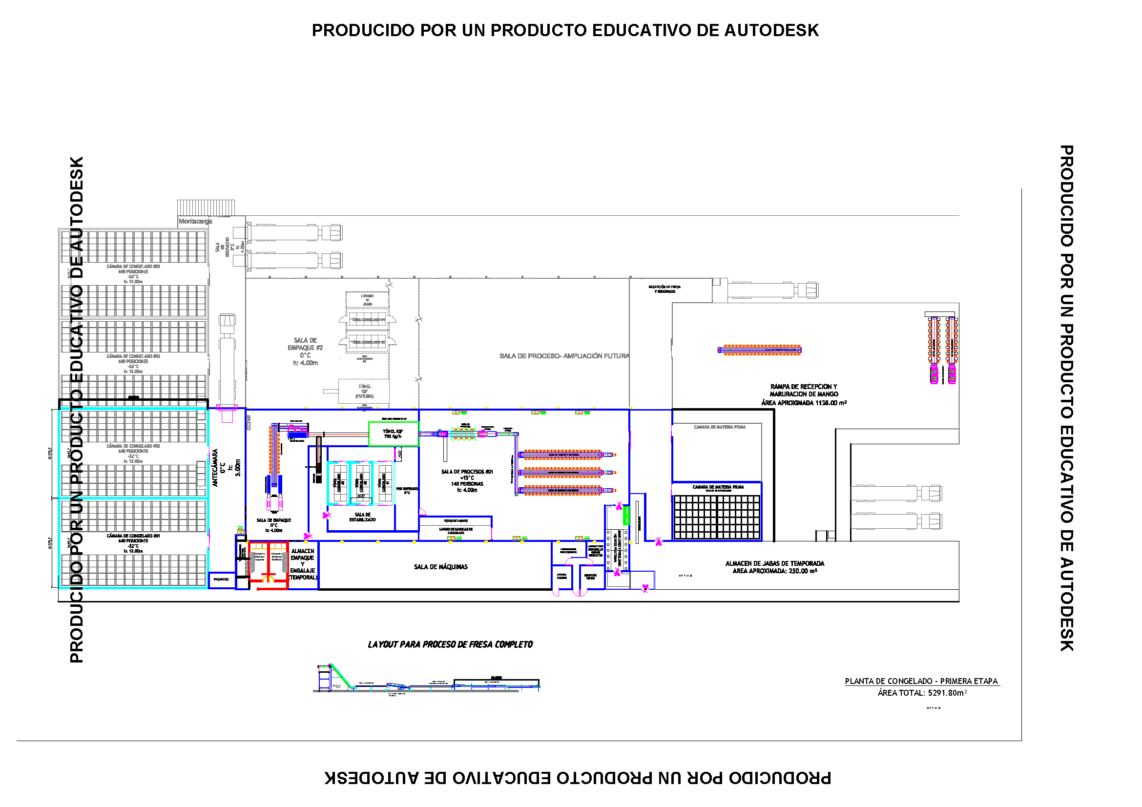 LAYOUT PLANTA HUACHO